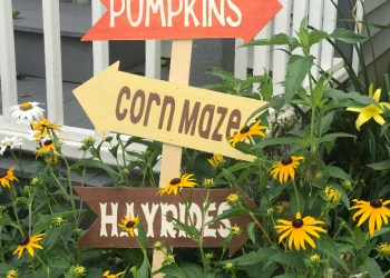 DIY Fall Yard Sign